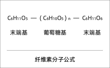 纖維素分子公式 纖維素分子公式