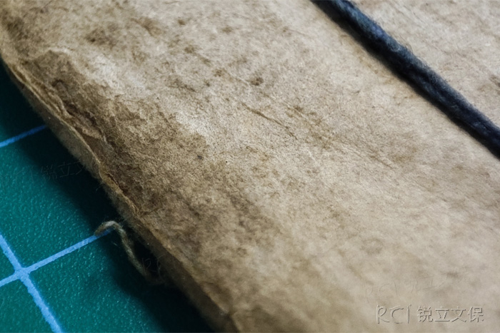 滋生霉菌的古籍善本 滋生霉菌的古籍善本